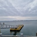 남당항 죽도선착장 이미지