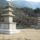 청도 장연사지 삼층석탑(長淵寺址 三層石塔) 이미지