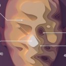 시즈의원 이미지