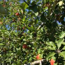 율곡 농장 이미지