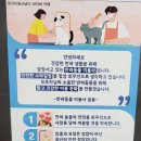 봉봉애견카페호텔 이미지