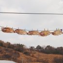 군외면-1 이미지