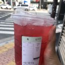 교동곰장어 이미지