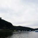 오리천국 이미지