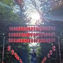 만궁 | 센다이 여행지추천 오사키 하치만궁 방문기