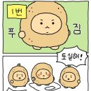 소담샌드