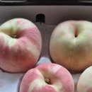 이례농장 이미지