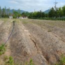 전라남도농업기술원 축산연구소 이미지