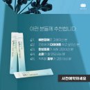인셀덤 행복