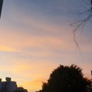 봉선2동작은도서관 이미지