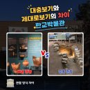 경상북도문화재연구원 역사박물관 | 판교 박물관 아이와 실내 가볼만한곳 주차 백제 고구려 돌방무덤