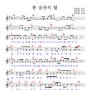 한 웅큼의 빛 이미지