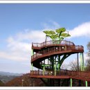 말티가는길 이미지