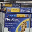 독산종로약국 | 종로 온유약국 후기 + 울강아지 심장사상충약 삼