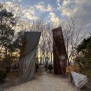 힐링애견 이미지