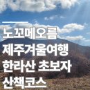 제주 자락 | 제주겨울여행 오름추천 : 한라산 초보자 노꼬메오름 산책코스 후기