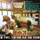 여주-0214 이미지