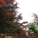 수만리 생태숲공원 이미지