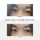 창원속눈썹 상남동 비비드아트 블랙틴팅 속눈썹펌 후기