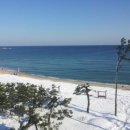 덕적여관 이미지