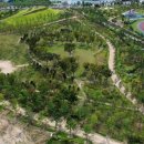 시민의숲산책로1-1 이미지