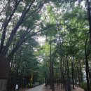 명달근린공원 이미지