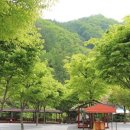 김삿갓 계곡 캠핑장 이미지