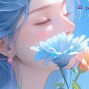 Verano / 남과여(피아노外) / Andante Andante / Forever Love 이미지