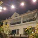 들꽃피는 아침풍경 이미지