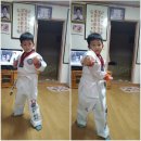 참다운태권도 이미지