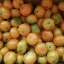 달콤하우스 이미지