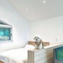 굿나잇도그 이미지