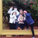 제주드루앙김녕1236 이미지