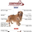 24시센트럴동물메디컬센터 이미지