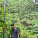 산수산