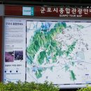 수리산 산림욕장 이미지