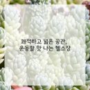 화이트짐 길동점 | 나의 몸과 마음을 위한 작은 변화, 길동 헬스장 방문기
