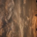 읍내맥주 이미지