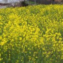 늑도마을회관 이미지