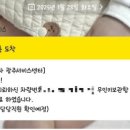 (유)일일사투어렌트카 이미지