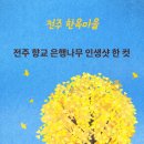 디자인해봄 이미지