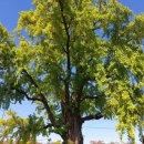 강남동-11 이미지