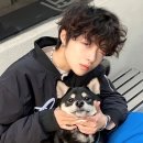 퍼피스타일 이미지