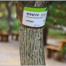 미팅프라자 이미지