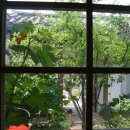 사과나무약국 이미지