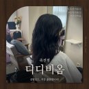 수지미용실 | 디디비옴 죽전점 l 트렌디한 세팅펌 물결펌 후기 수지미용실 용인 죽전 미용실 태원디자이너 후기