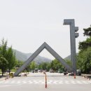 황금 성인PC 이미지