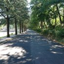 노암초등학교 이미지