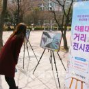 고양화전31 이미지