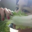 완소다이어트